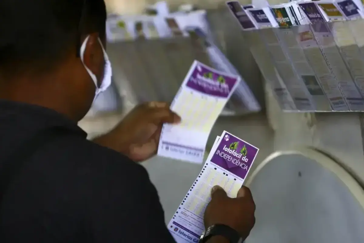 Concurso 3550 da Lotofácil: números sorteados e prêmios que saíram para Goiás