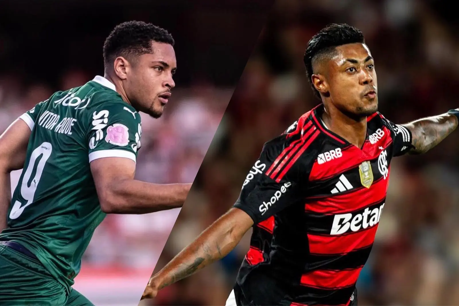 Palmeiras e Flamengo estão escalados para a final da Libertadores