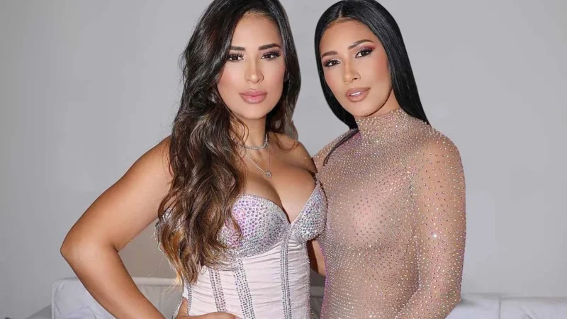 Simone Mendes comenta rumores sobre possível retorno da dupla com Simaria