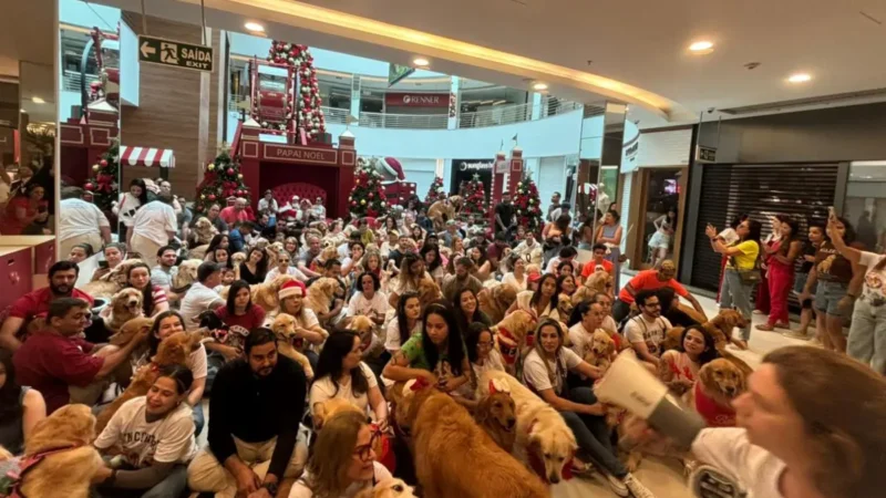 125 golden retrievers se encontram com Papai Noel em Goiânia