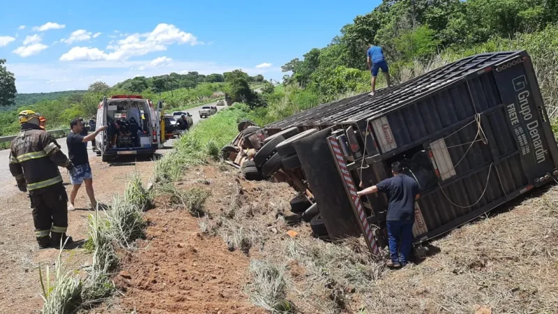 Carreta com bovinos tomba na GO-446 e mata 15 animais