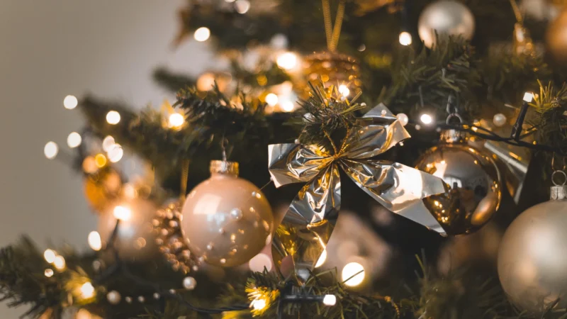 Como surgiram as árvores de Natal? Conheça a história por traz de um dos símbolos mais fortes do período natalino