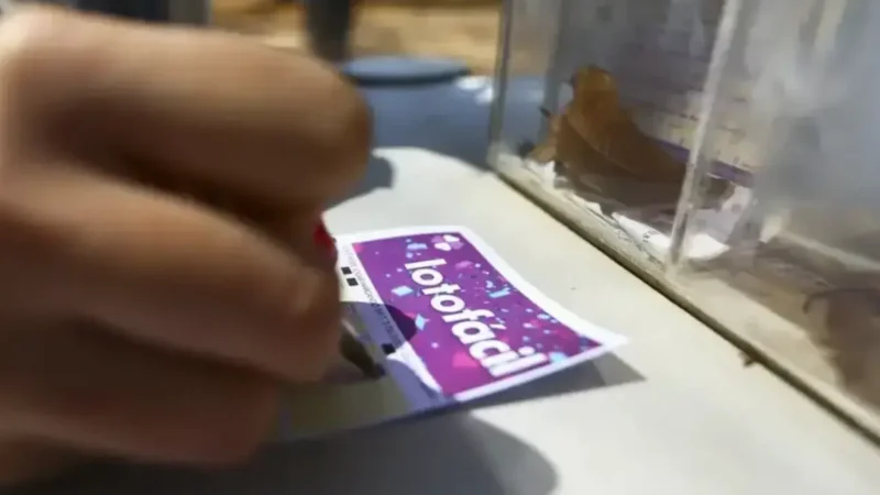 Concurso 3569 da Lotofácil: veja o resultado e prêmios que saíram para Goiás