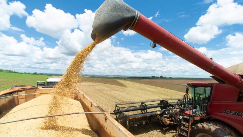 As previsões do agronegócio para o setor e o governo Lula em 2026