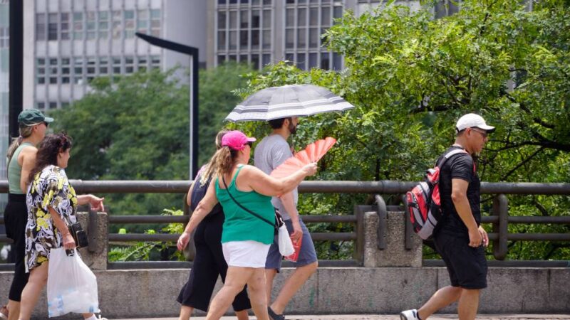 Domingo de altas temperaturas em São Paulo: saiba a máxima na capital paulista