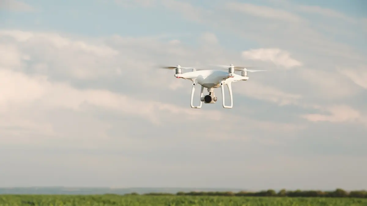 Juiz proíbe mineradora de fazer pesquisa e sobrevoo em fazenda de Mundo Novo