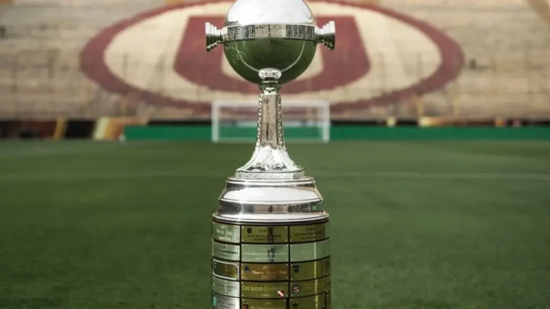 Mirassol, Botafogo, Fluminense e Bahia brigam por duas vagas diretas na Libertadores; veja o que cada time precisa