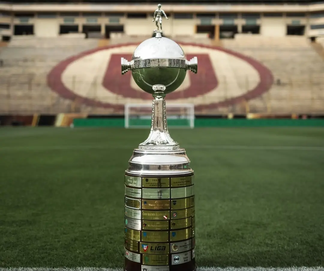 Mirassol, Botafogo, Fluminense e Bahia brigam por duas vagas diretas na Libertadores; veja o que cada time precisa