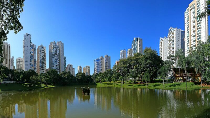 Moradora denuncia abandono de parque em Goiânia após criança de 2 anos se ferir