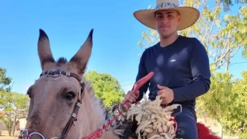 Motociclista morre após bater em carreta na GO-402, em Cumari