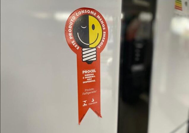 Natal econômico: guia para escolher eletrodomésticos