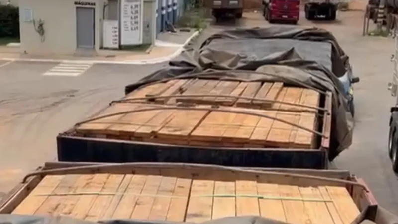 PRF apreende carga de madeira irregular na BR-070, em Jussara