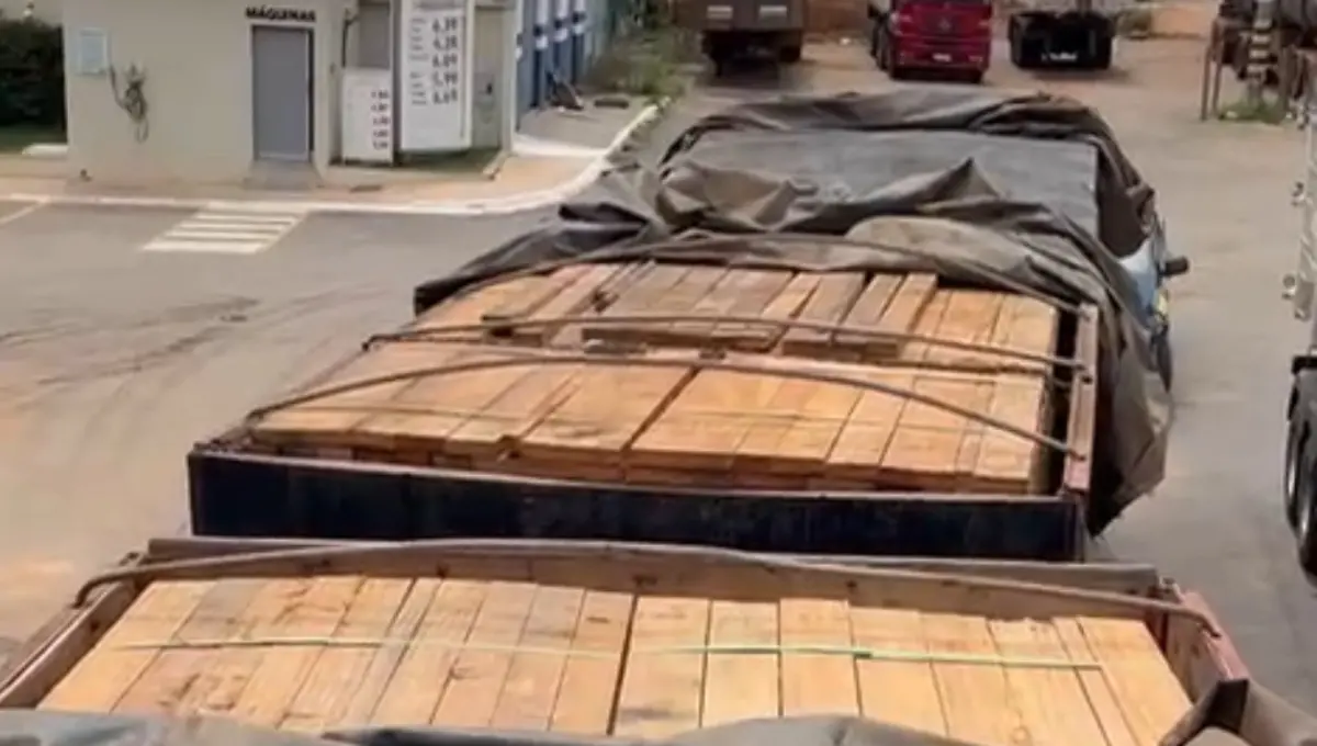 PRF apreende carga de madeira irregular na BR-070, em Jussara