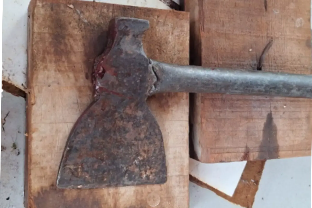 Padrasto golpeia enteado com machadinha durante churrasco de Natal em Jataí