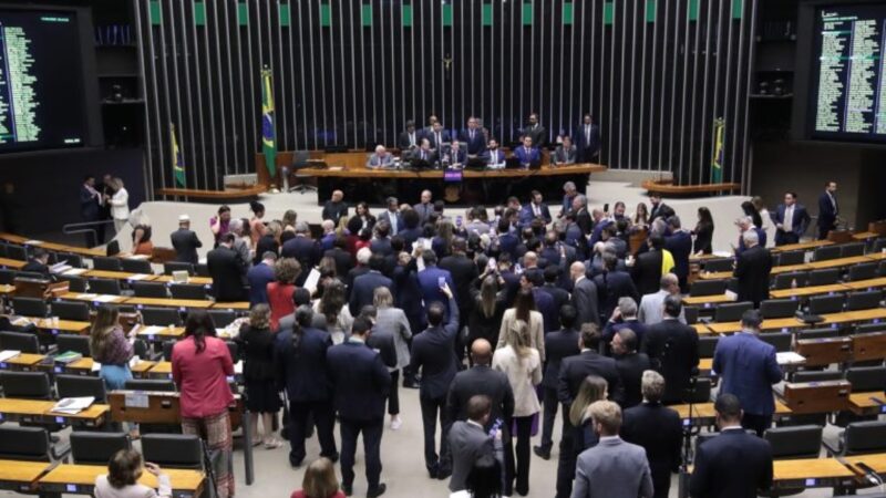 Saiba quanto seu deputado federal goiano gastou da cota em 2025