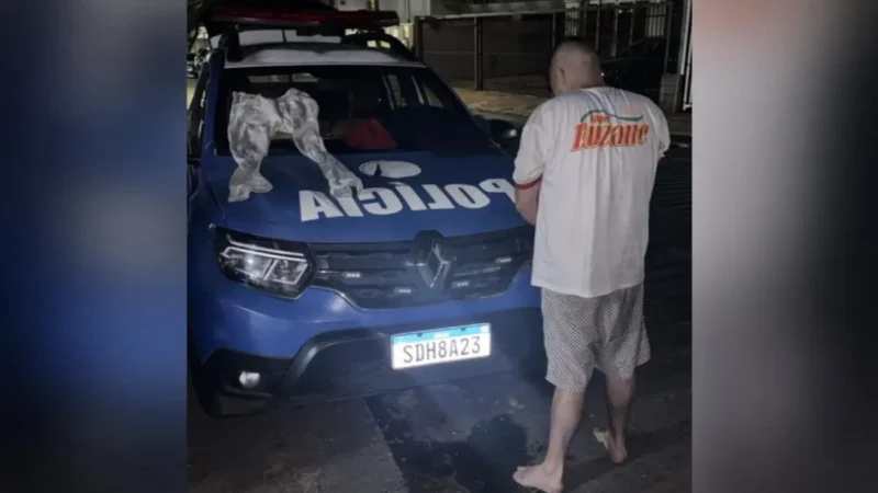 Seis são presos por violência contra a mulher durante o Natal, em Aparecida