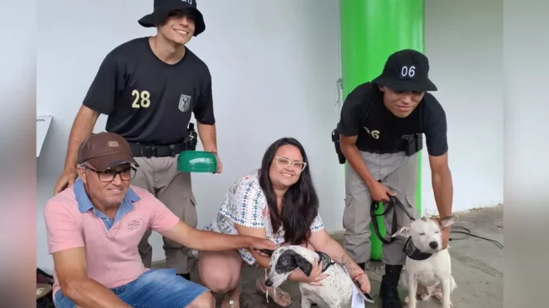 Todos adotados: feira do BPCães em parceria com a UFG marca final feliz para 18 cães em Goiânia