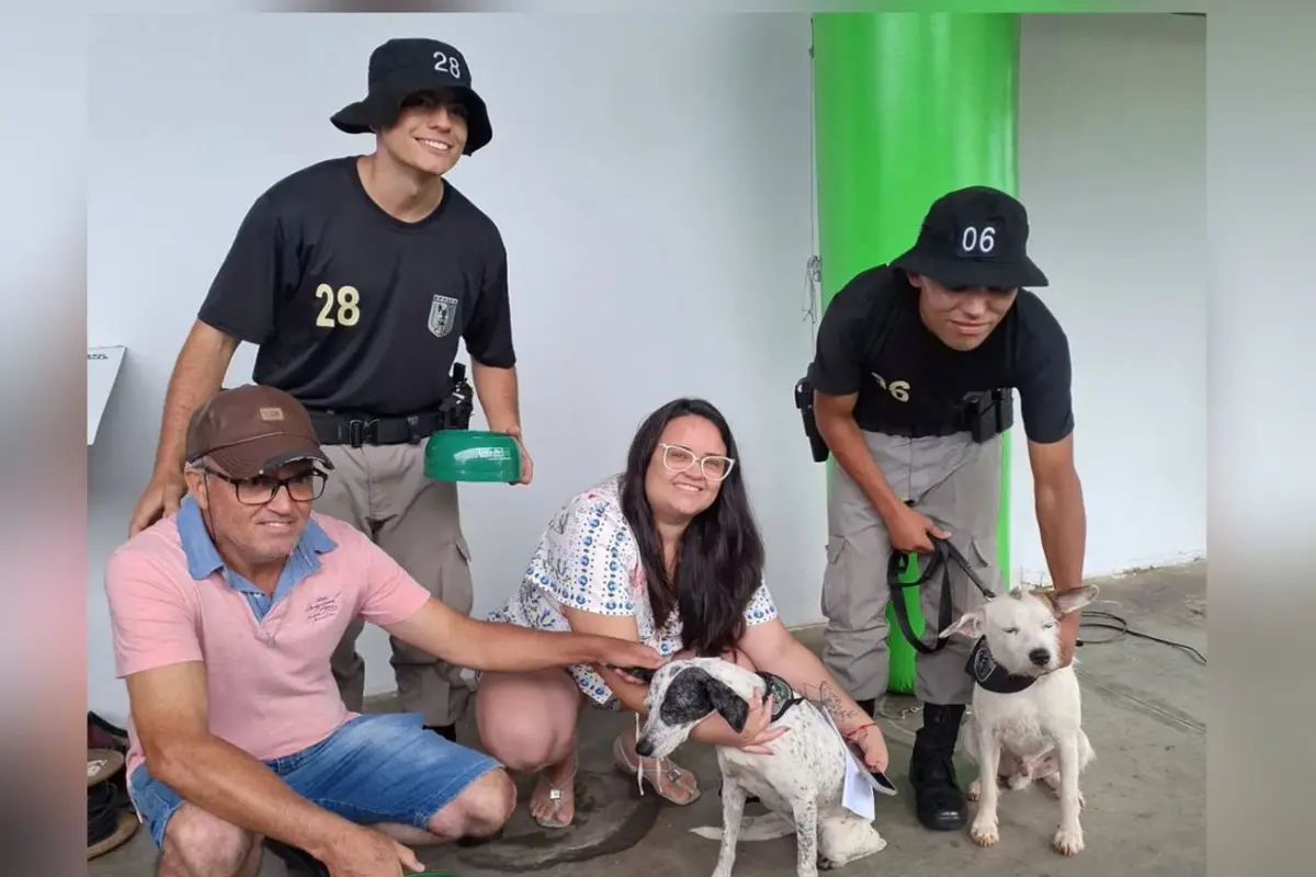 Todos adotados: feira do BPCães em parceria com a UFG marca final feliz para 18 cães em Goiânia