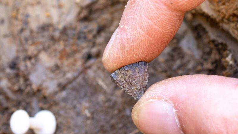 Evidência mais antiga de fogo feito por humanos é encontrada na Inglaterra