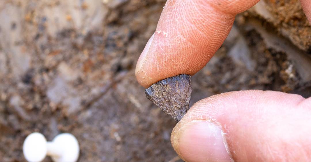 Evidência mais antiga de fogo feito por humanos é encontrada na Inglaterra