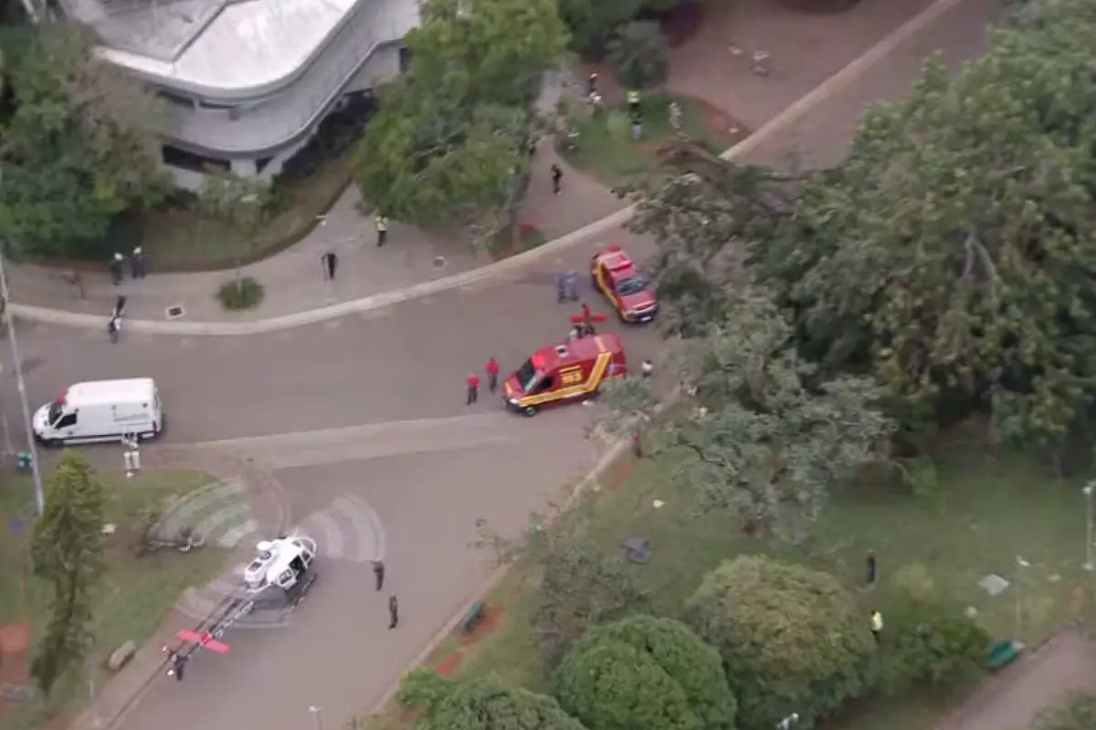 Árvore de grande porte cai no parque Ibirapuera e atinge mulher