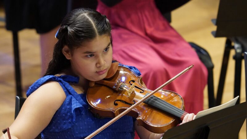 Basileu França abre mais de mil vagas para formação artística