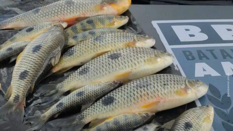 Batalhão Ambiental reforça fiscalização na piracema em Goiás