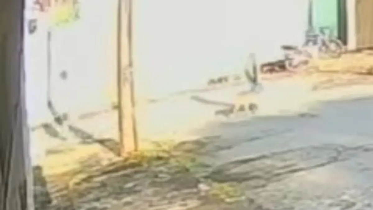 Bombeiro é atacado por pitbull enquanto caminha com filho de 10 meses em Goiânia