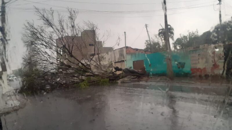Calor e umidade elevadas trazem chuva forte ventos em Goiás