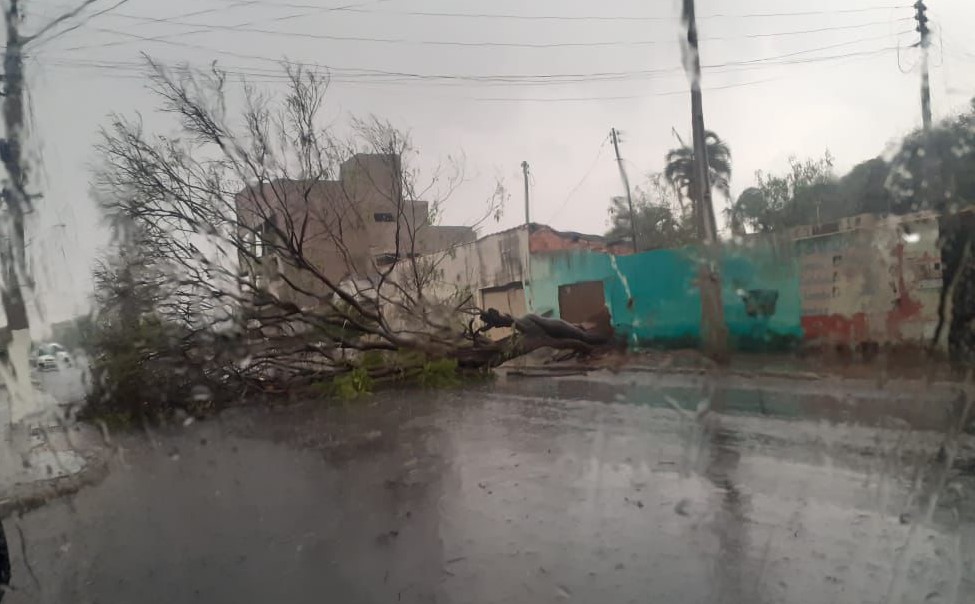 Calor e umidade elevadas trazem chuva forte ventos em Goiás