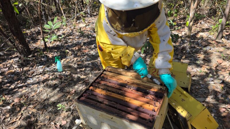 Encerra hoje prazo de cadastro em projeto de agroindústrias