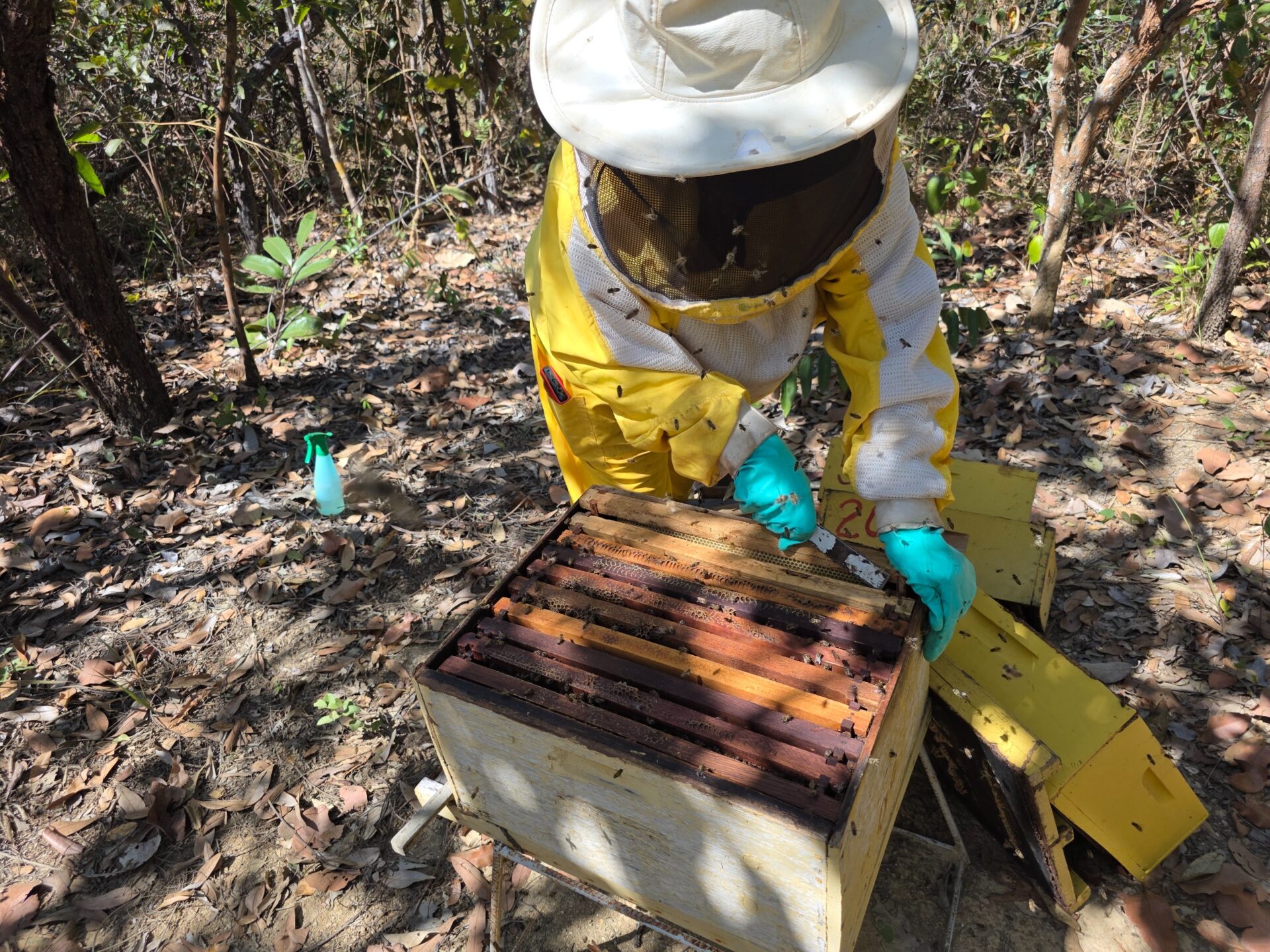 Encerra hoje prazo de cadastro em projeto de agroindústrias