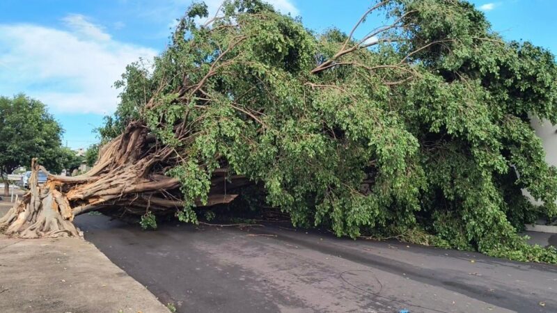 Equatorial alerta para risco de chuvas e alagamentos