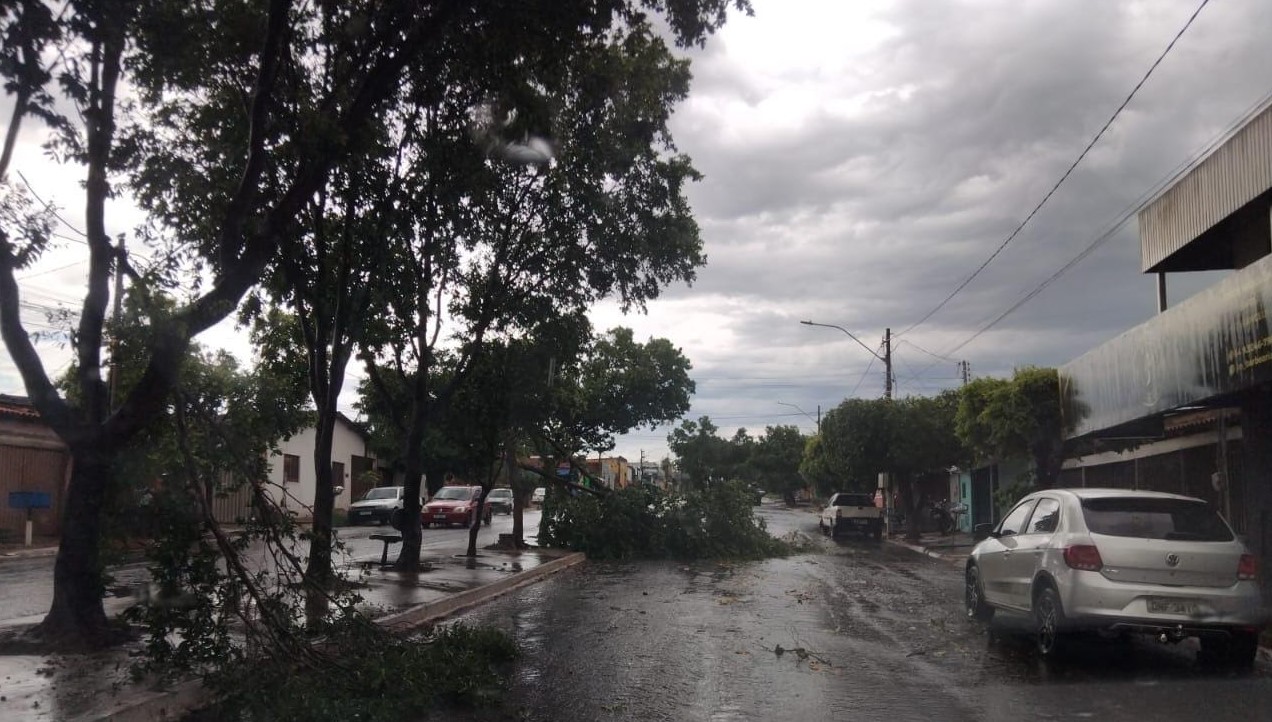 Equatorial reforça rede elétrica e avança desempenho em 2026