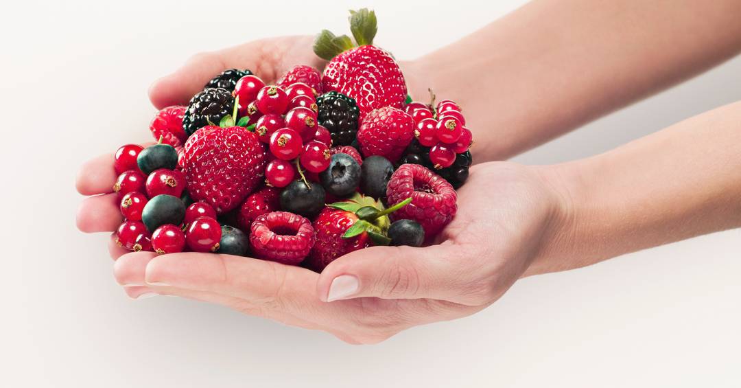 Chamado do bosque | VEJA