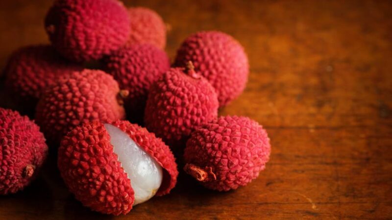 Delícia breve | VEJA