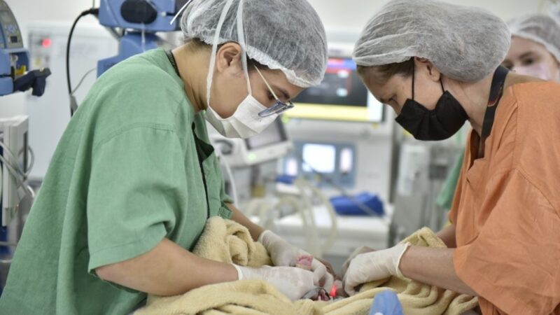 Goiás amplia cirurgias e procedimentos cardíacos infantis