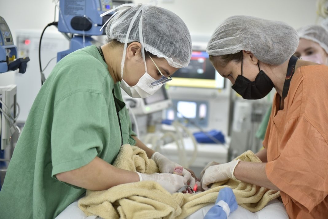 Goiás amplia cirurgias e procedimentos cardíacos infantis