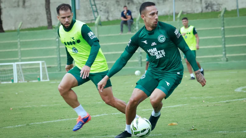 Goiás: confira quem chegou, quem saiu e o elenco do alviverde para a temporada