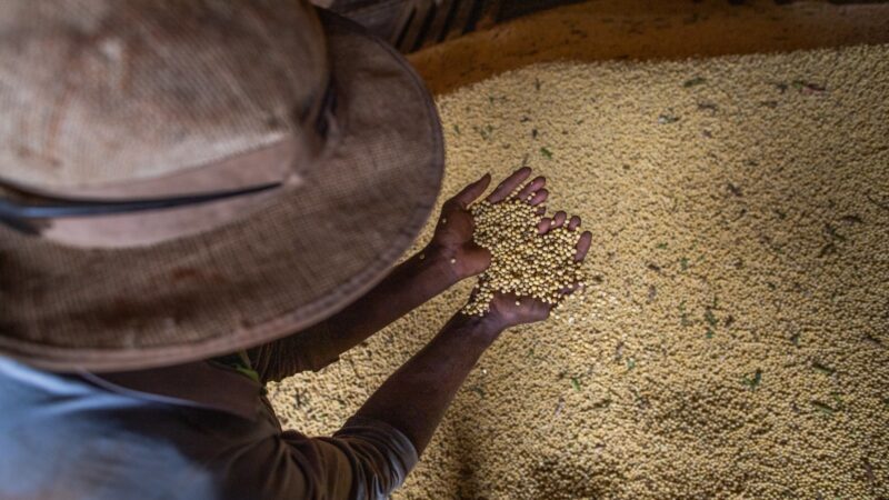 Goiás fecha 2025 com superávit acima de US$ 8 bilhões