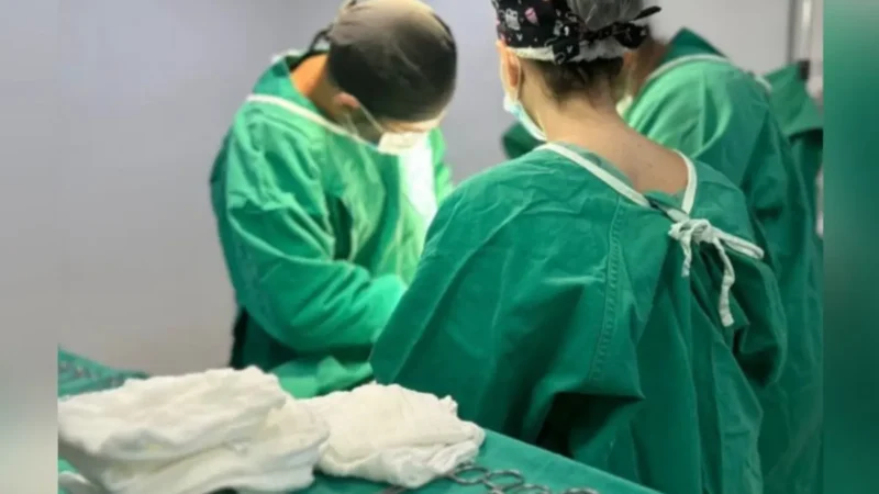 Nascem em Goiânia os primeiros gêmeos siameses de 2026