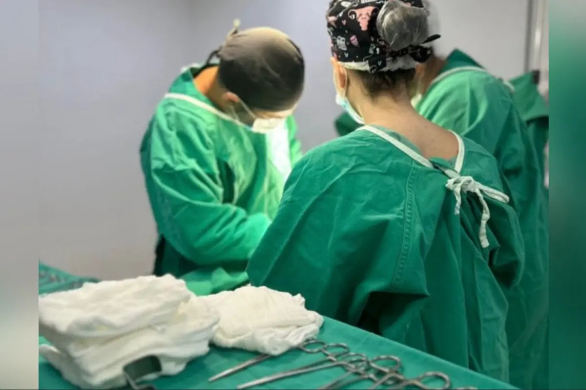 Após morte de um dos siameses, família vive angústia com cirurgia de separação em Goiânia