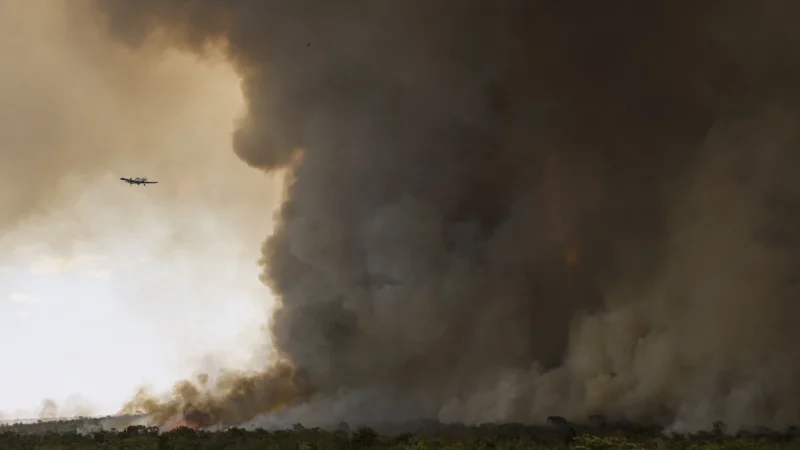 Orçamento para fiscalização de queimadas cai 17% em 2026