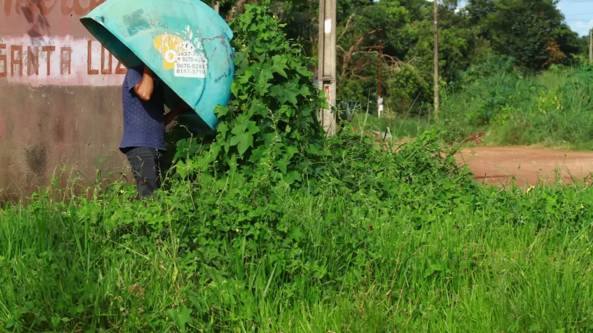 Orelhões serão retirados em definitivo das ruas; veja quantos tem em Goiás