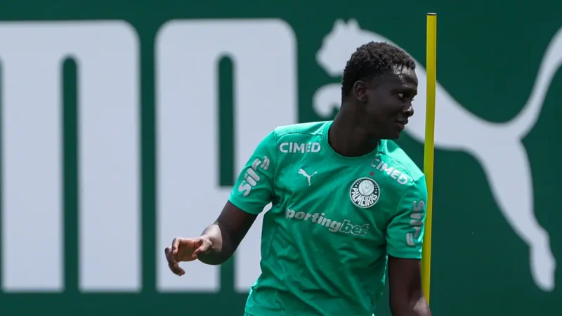 Palmeiras inscreve zagueiro da Costa do Marfim no Campeonato Paulista