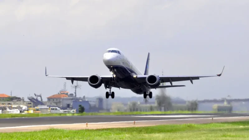 Piloto relata colisão com pássaro e pista do aeroporto Santa Genoveva, em Goiânia, é interditada