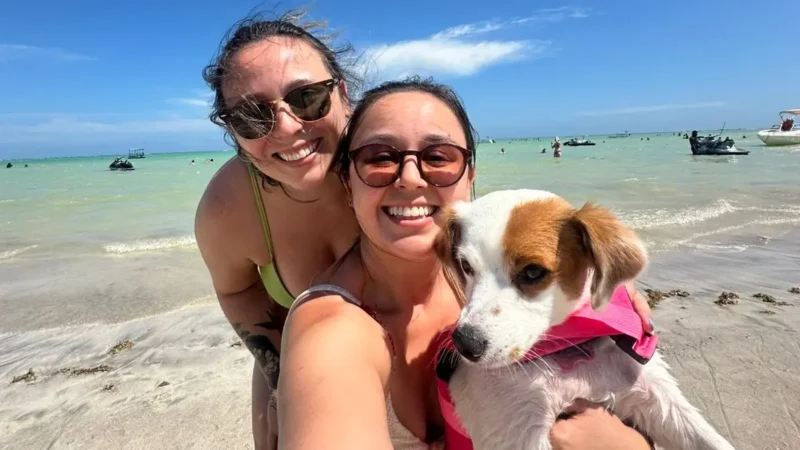 ‘Santa representa família’: enfermeira de Goiânia relata vitória judicial para viajar com cadela de suporte emocional