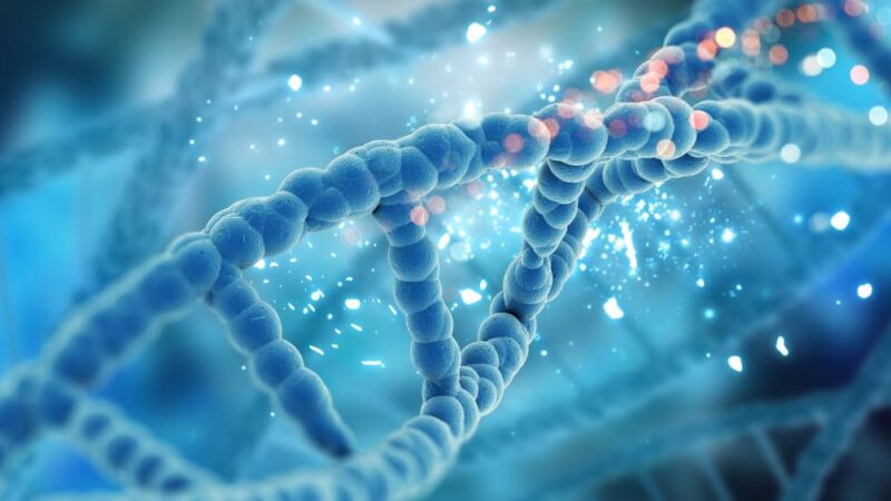 O que é o AlphaGenome, nova ferramenta do Google