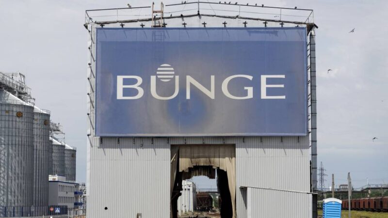 Compradores de soja esvaziam acordo antidesmatamento da Amazônia