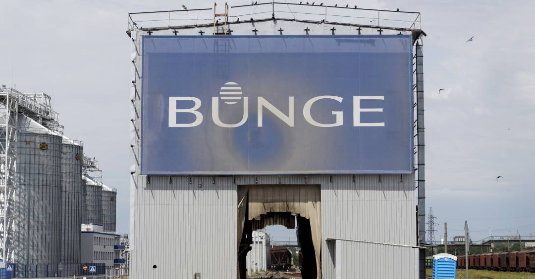 Compradores de soja esvaziam acordo antidesmatamento da Amazônia